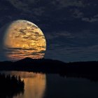 Tranquil nightscape with glowing full moon and silhouetted trees