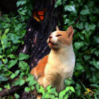 Orange and White Cat in Lush Green Foliage with Contemplative Expression