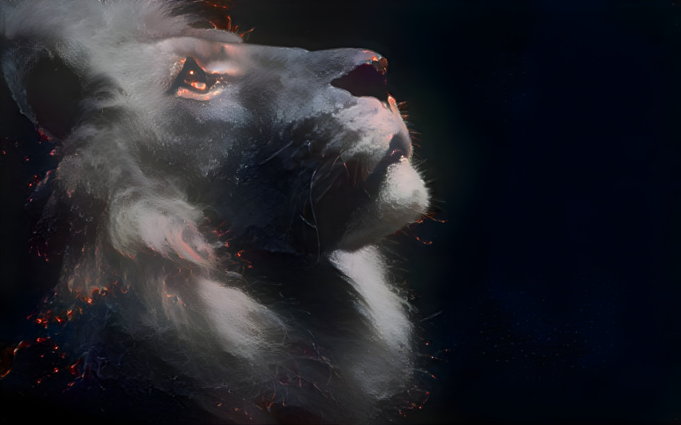 Lion Embers