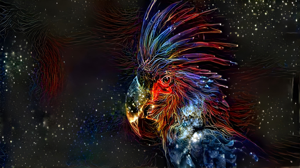 Galactic Bird