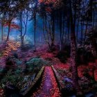 Detailed Colorful Illustration of Mystical Forest Scene