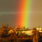 Colorful landscape with rainbows, flying birds, and vibrant trees