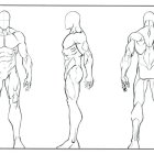 Male astronaut character sketches: frontal, three-quarter, profile views