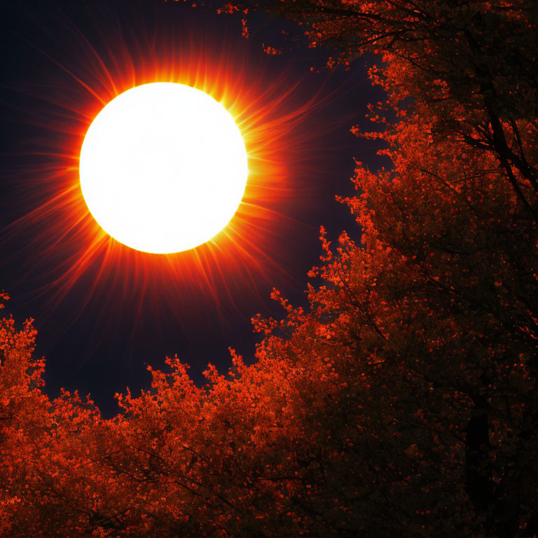 Dramatic solar flare with glowing sun in dark sky