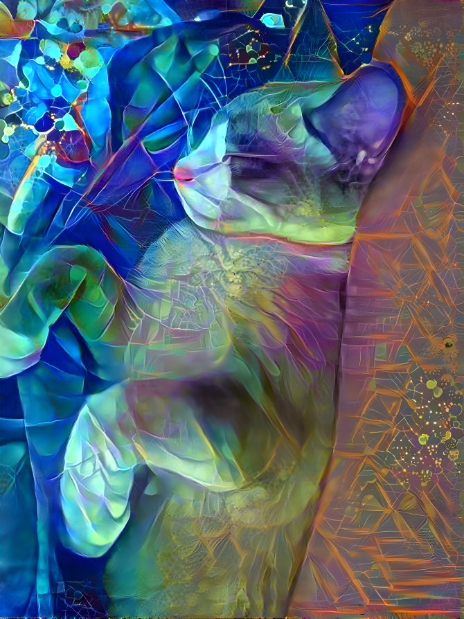 Lucid Kitty