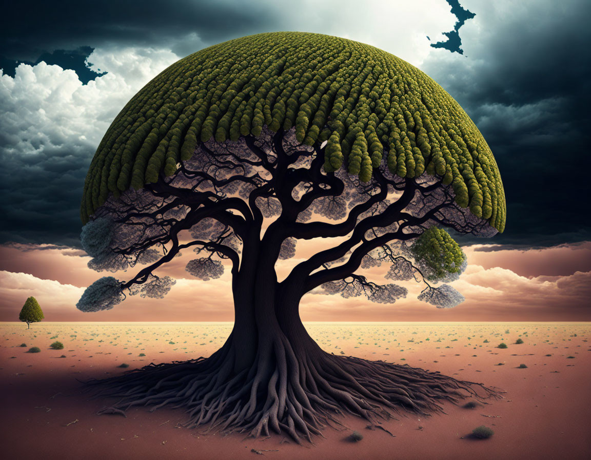 Surreal image of massive tree with broccoli-like canopy under dramatic sky