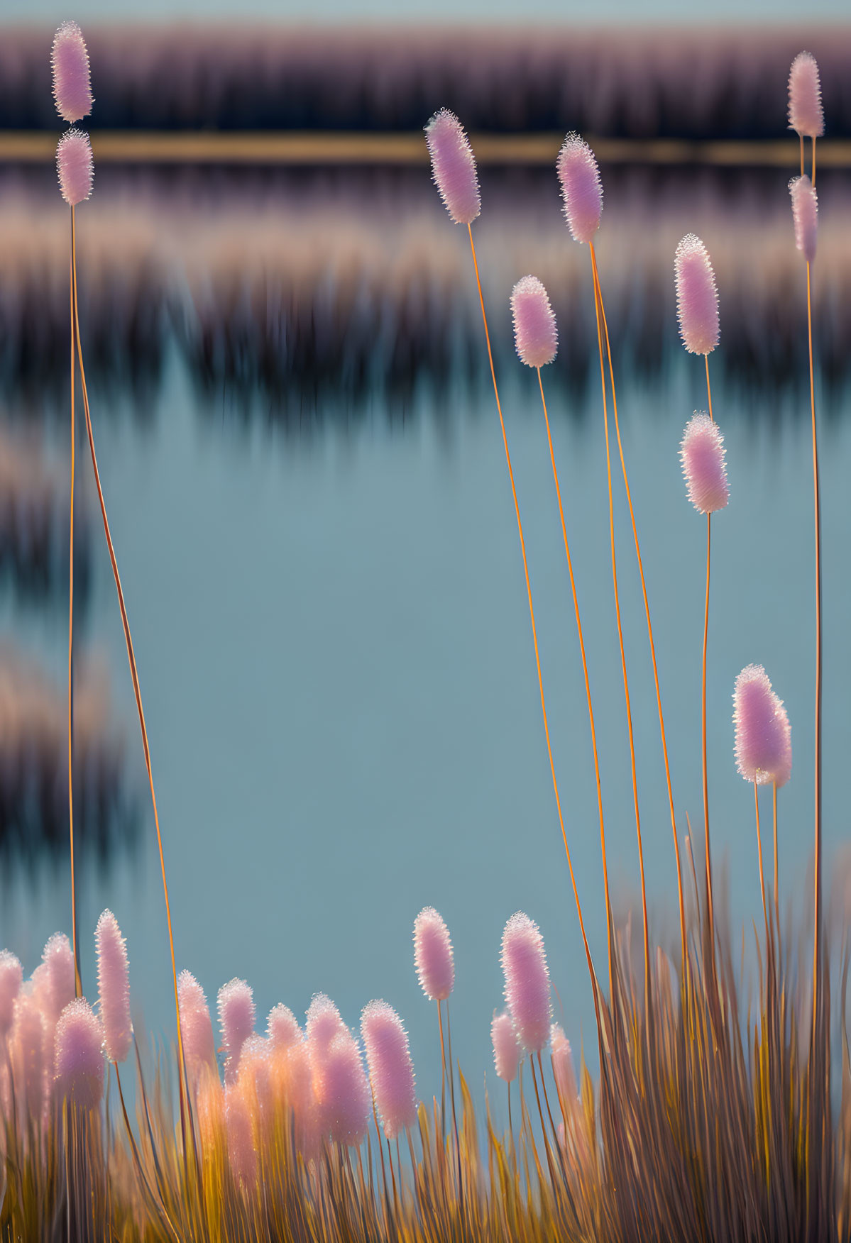 Pink reeds swaying in teal water with golden grass under pastel sky