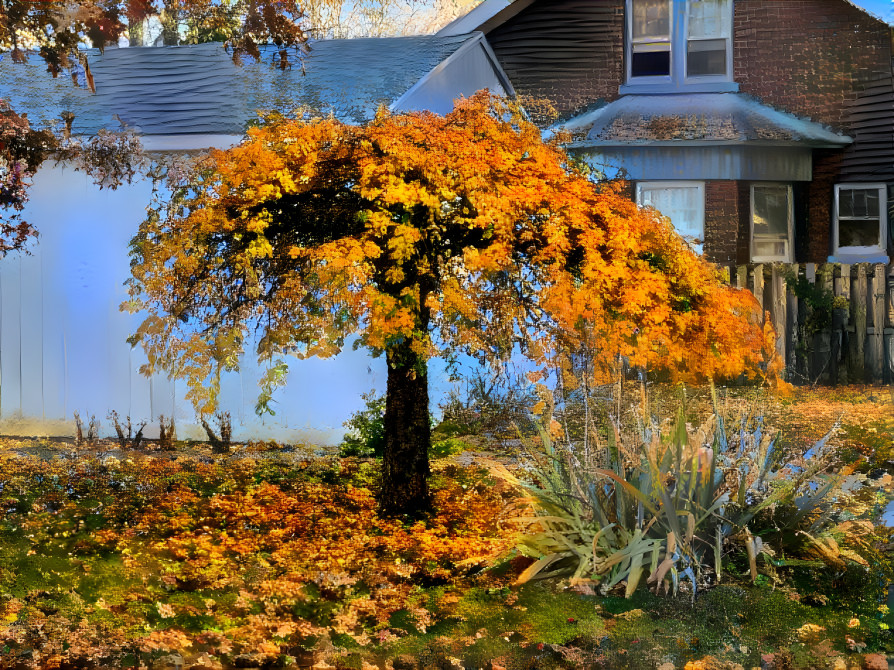 TREE AUTUMN