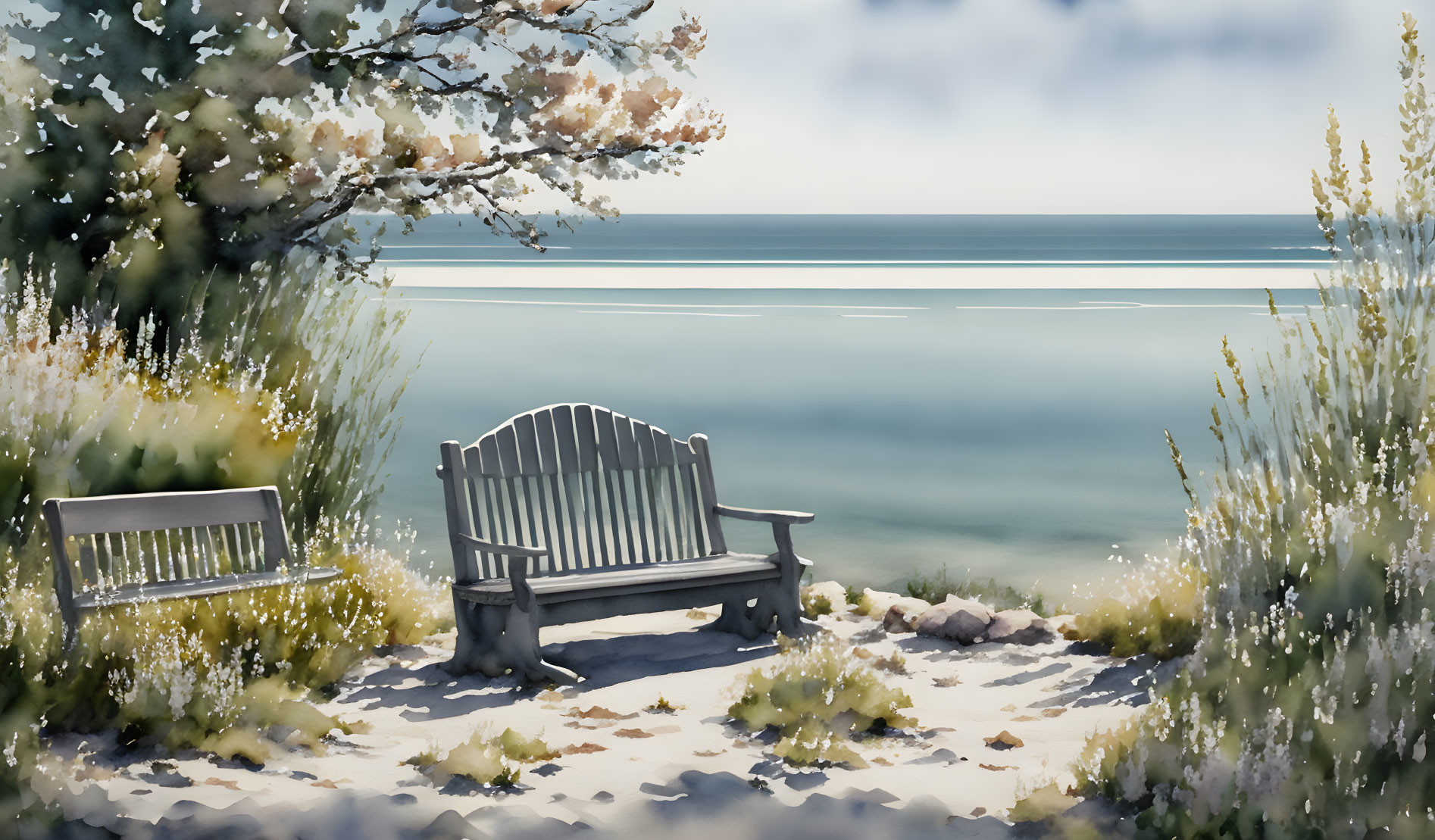 Tranquil Beach Scene with Wooden Bench and White Flowers