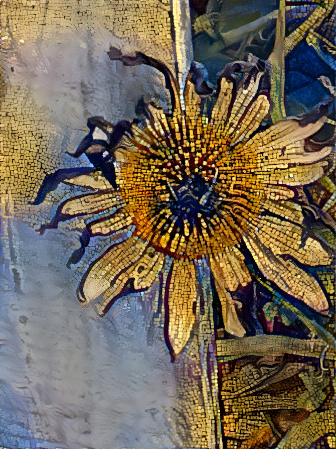 CONE FLOWER CAUGHT IN FENCE