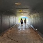 Bike ride through whimsical flower-lined tree tunnel