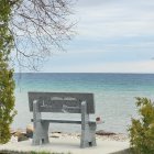 Colorful Beach Scene with Blue Bench, Wildflowers, Tree, and Ocean