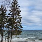 Sandy shore with pine trees and turquoise waters under cloudy sky