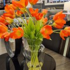 Orange Tulips Bouquet in Clear Glass Vase on Multicolor Background