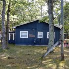 Tranquil woodland scene: vibrant blue cabin, lush trees, green carpet, blue flowers, soft