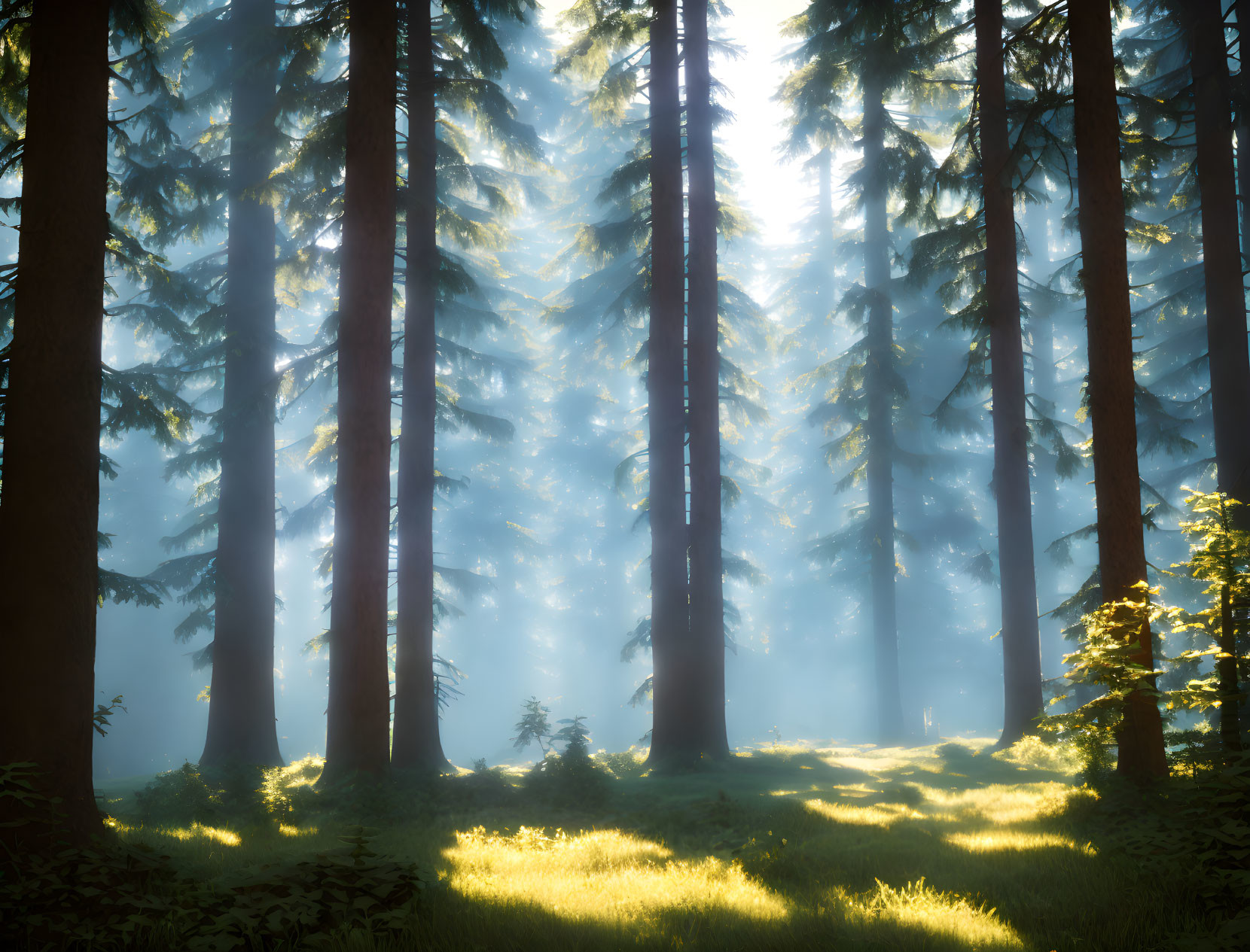 Misty forest with sunlight casting shadows