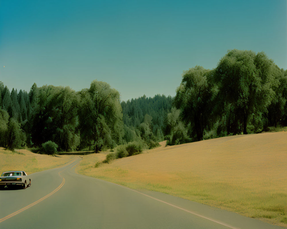 Tranquil scene of a winding road with car, trees, and fields