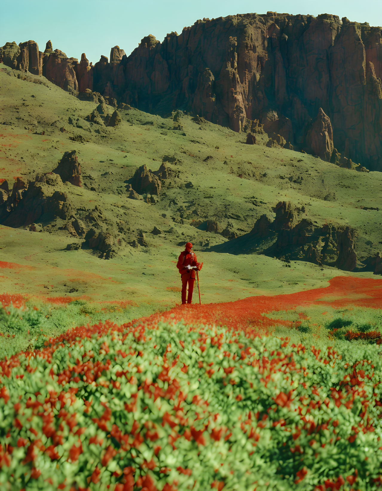 Photographer in red jacket with tripod in orange field with rocky cliffs and blue sky