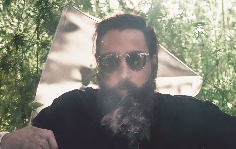 Bearded man in sunglasses and black shirt in sunlight among green foliage