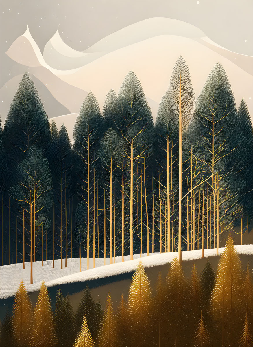 Snow-covered forest under hazy sky with tall evergreens