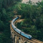 Illustration of train in lush forest with arched bridges