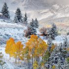 Snowy mountains, autumn trees, and cottages in a winter landscape.