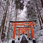 Snow-covered Staircase Entrance with Red Torii Gate and Snowy Pines