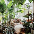 Colorful sunlit room with greenery, flowers, and citrus fruits.