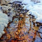 Winter landscape: snow-covered branches and autumn leaves by dark water.