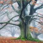 Surreal landscape with large eye-patterned tree, pink blossoms, and orange leaves.