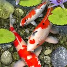 Vibrant koi fish among lily pads and flowers on textured blue background