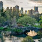 Stone bridge over tranquil lake in lush park with city skyline at sunrise or sunset