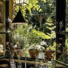 Indoor garden with potted plants on sunny windowsill