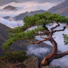 Layered Mountain Landscape with Twisting Tree and Birds in Dusk