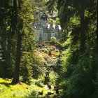 Ornate castle in lush forest with blooming flowers and tranquil stream