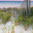 Scenic beach view with wooden fence and dune grass by ocean at sunset