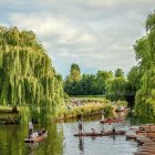 Tranquil riverside landscape with boating people and green trees