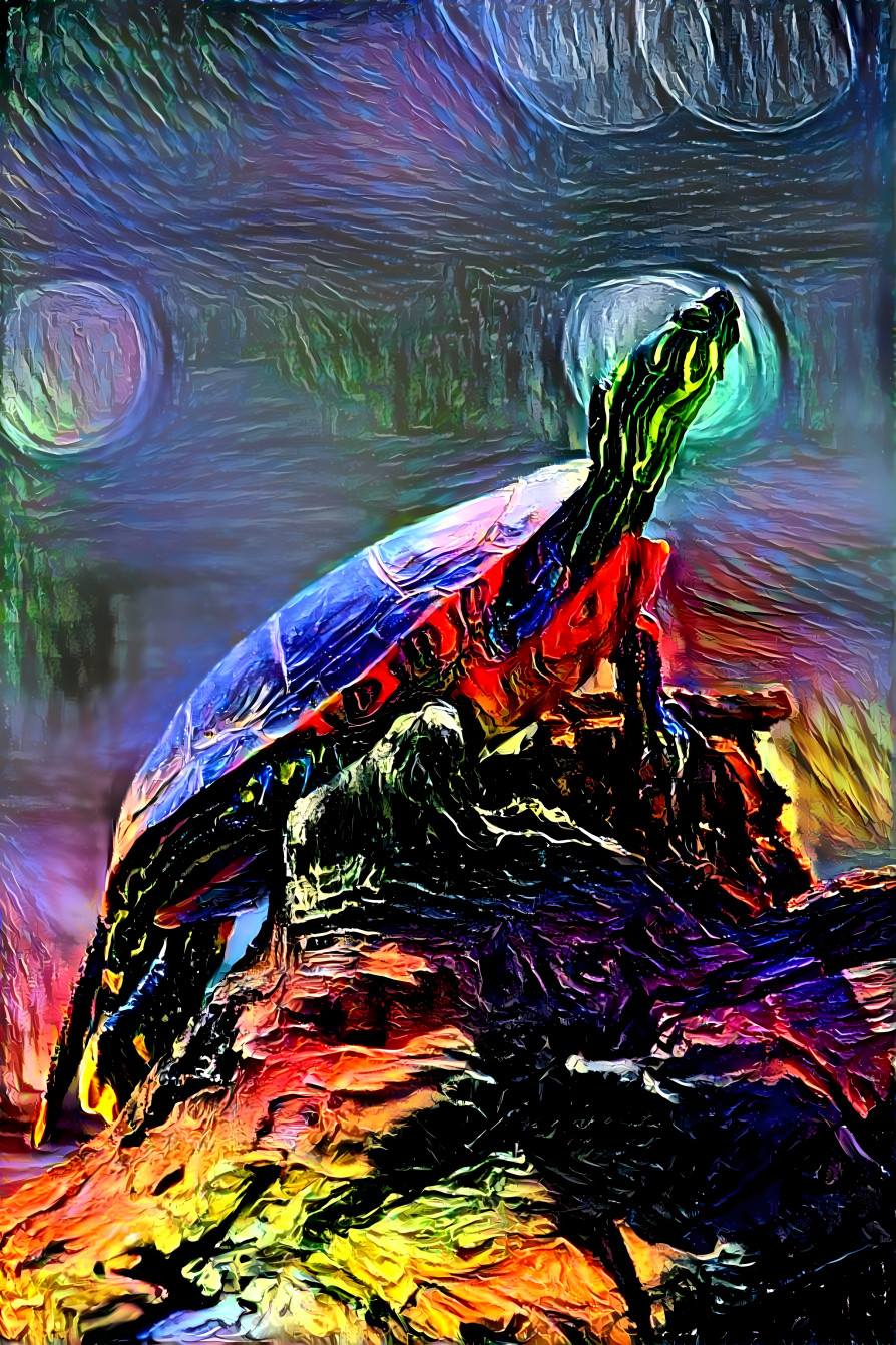 Painted Turtle