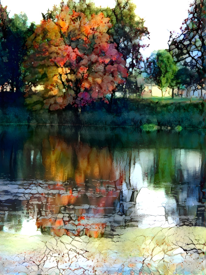 THE AUTUMN POND