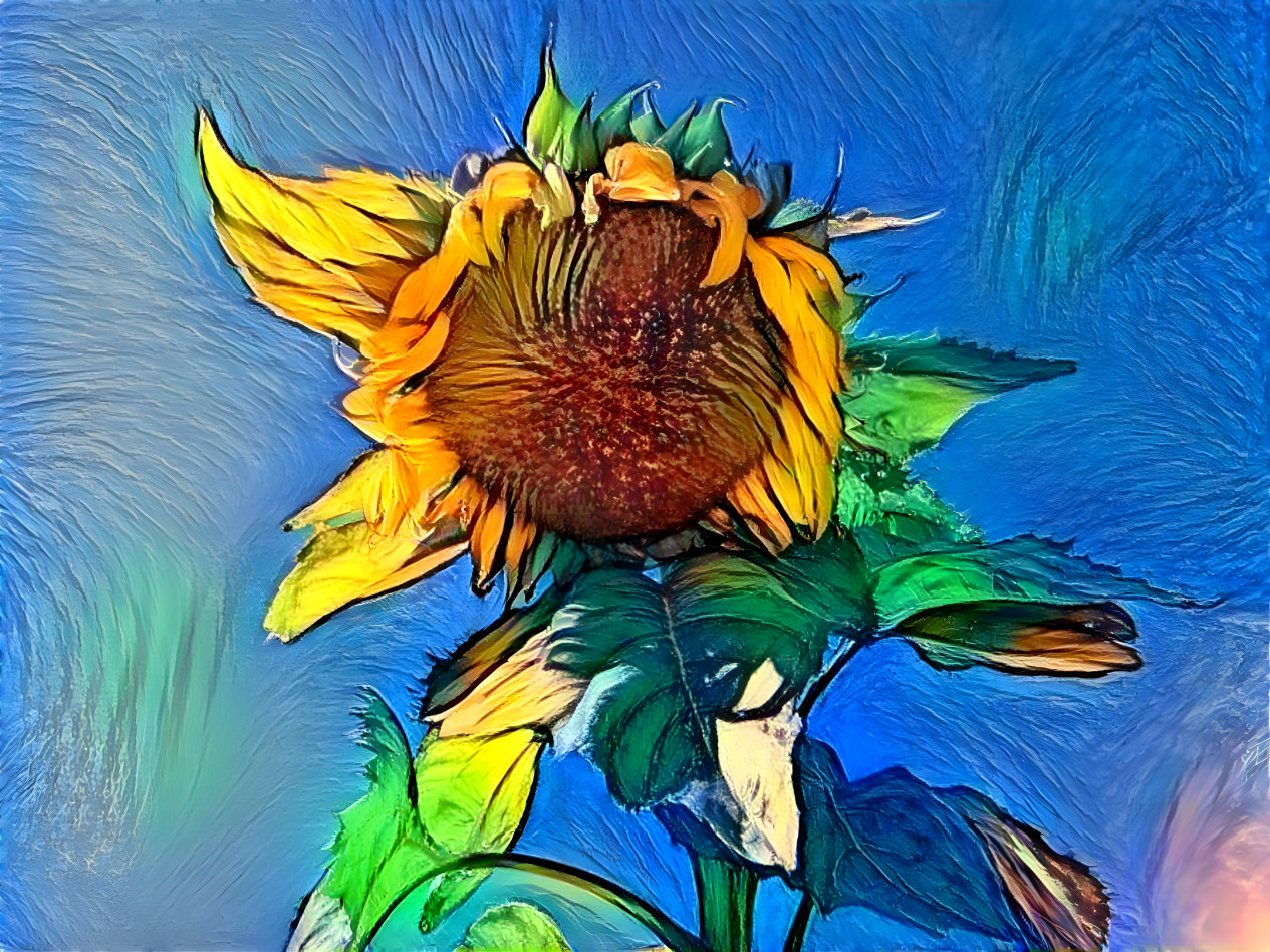 SUNNY SUNFLOWER