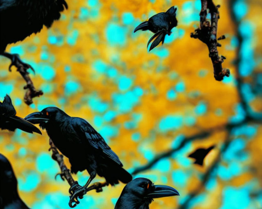 Ravens perched and in flight on vibrant background.