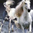 Majestic white horse galloping in ocean waves under stormy skies