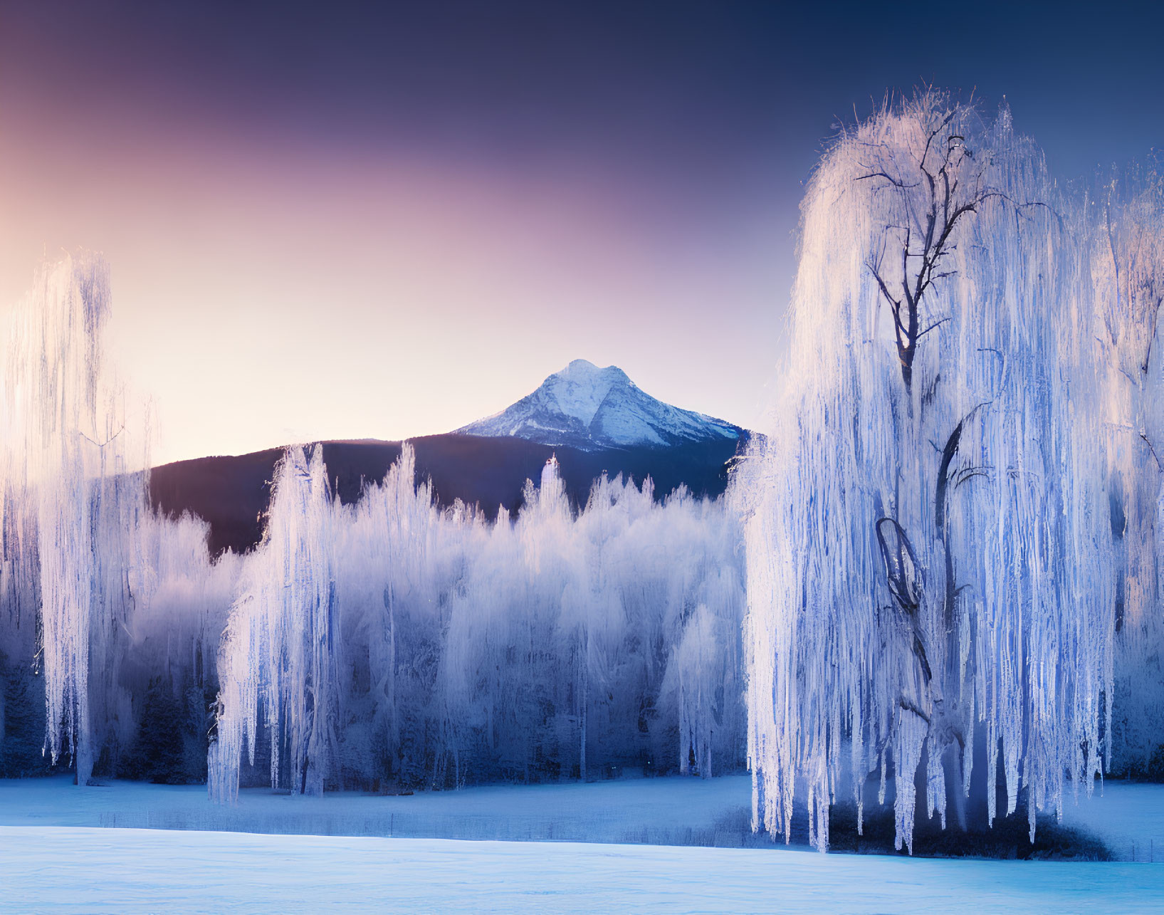 Winter landscape: snow-covered trees, icy branches, mountain peak, gradient dawn sky