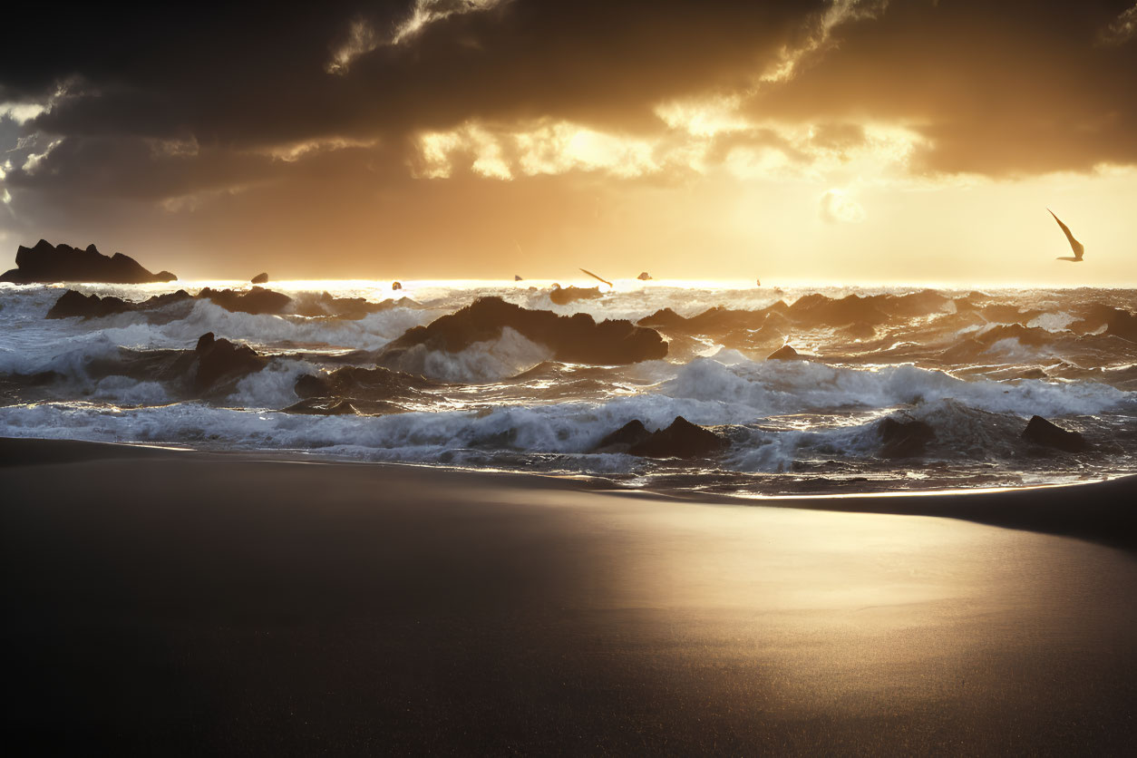 Golden light reflects on waves at rocky beach with birds in sky