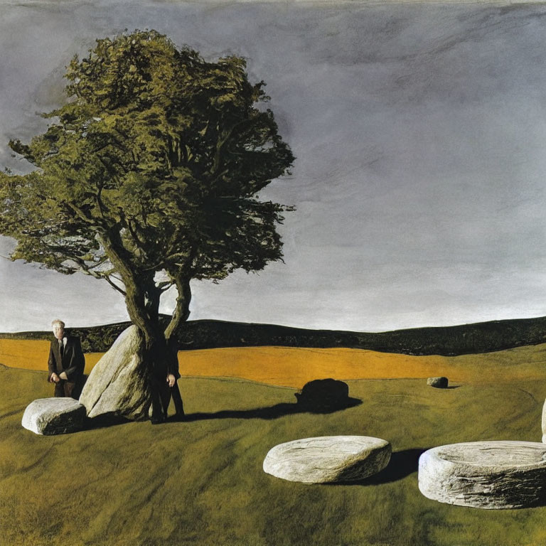 Man in suit leans against boulder in sparse landscape