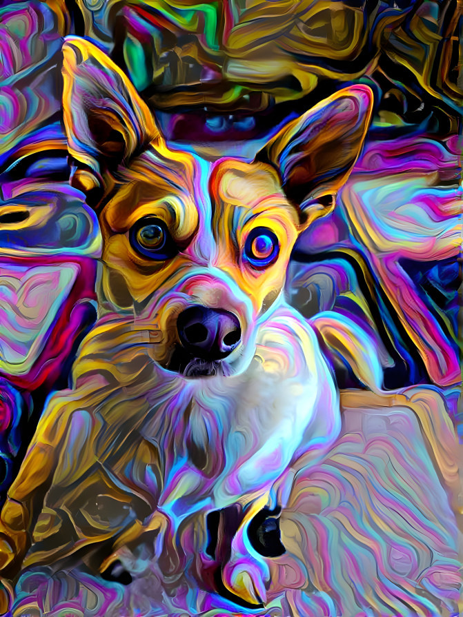 Acidawg