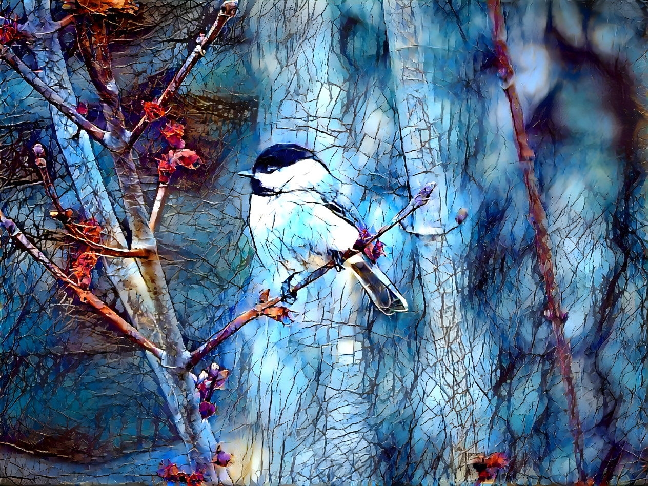 Brave Black-capped Chickadee Dreams