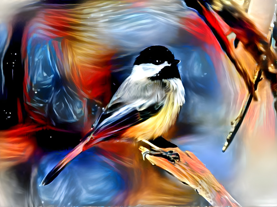 Dreamy Black-capped Chickadee