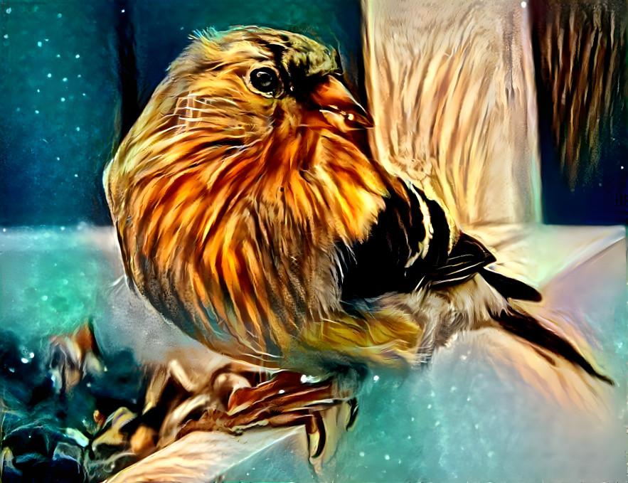 Goldfinch Lion Dreams