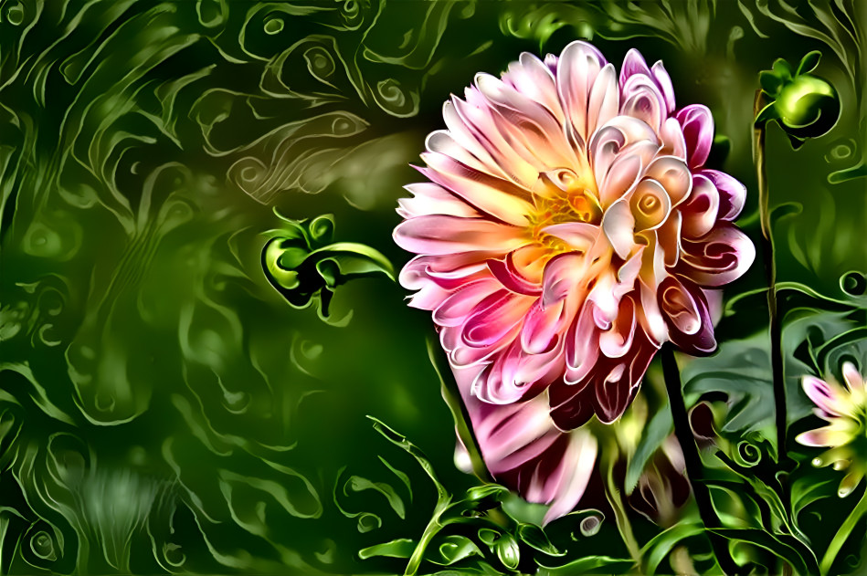 Dreamier Dahlia